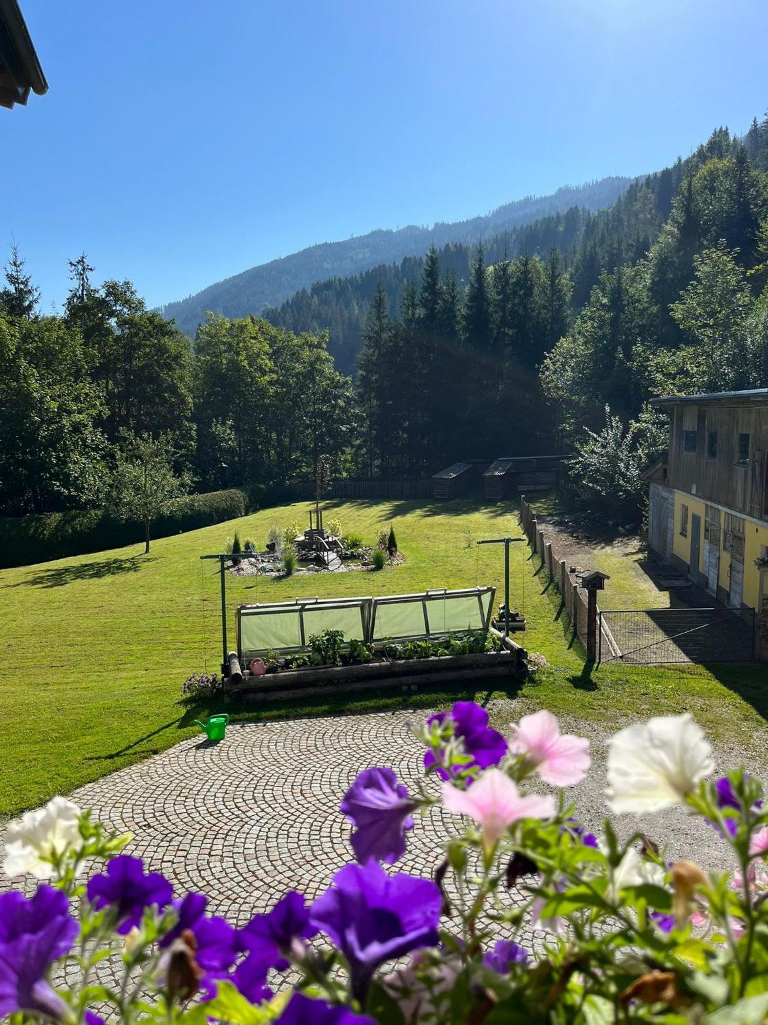 Haus Rosina Apartment Muhlbach Am Hochkonig Bagian luar foto